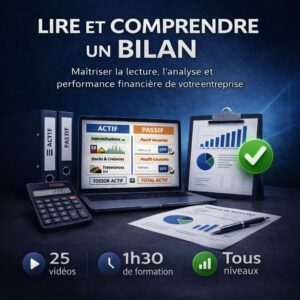 Comment lire un bilan comptable avec explication de l’actif et du passif sous forme de schéma